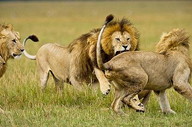 《黑道圣徒：重启版》新视频展示载具升级改装位置